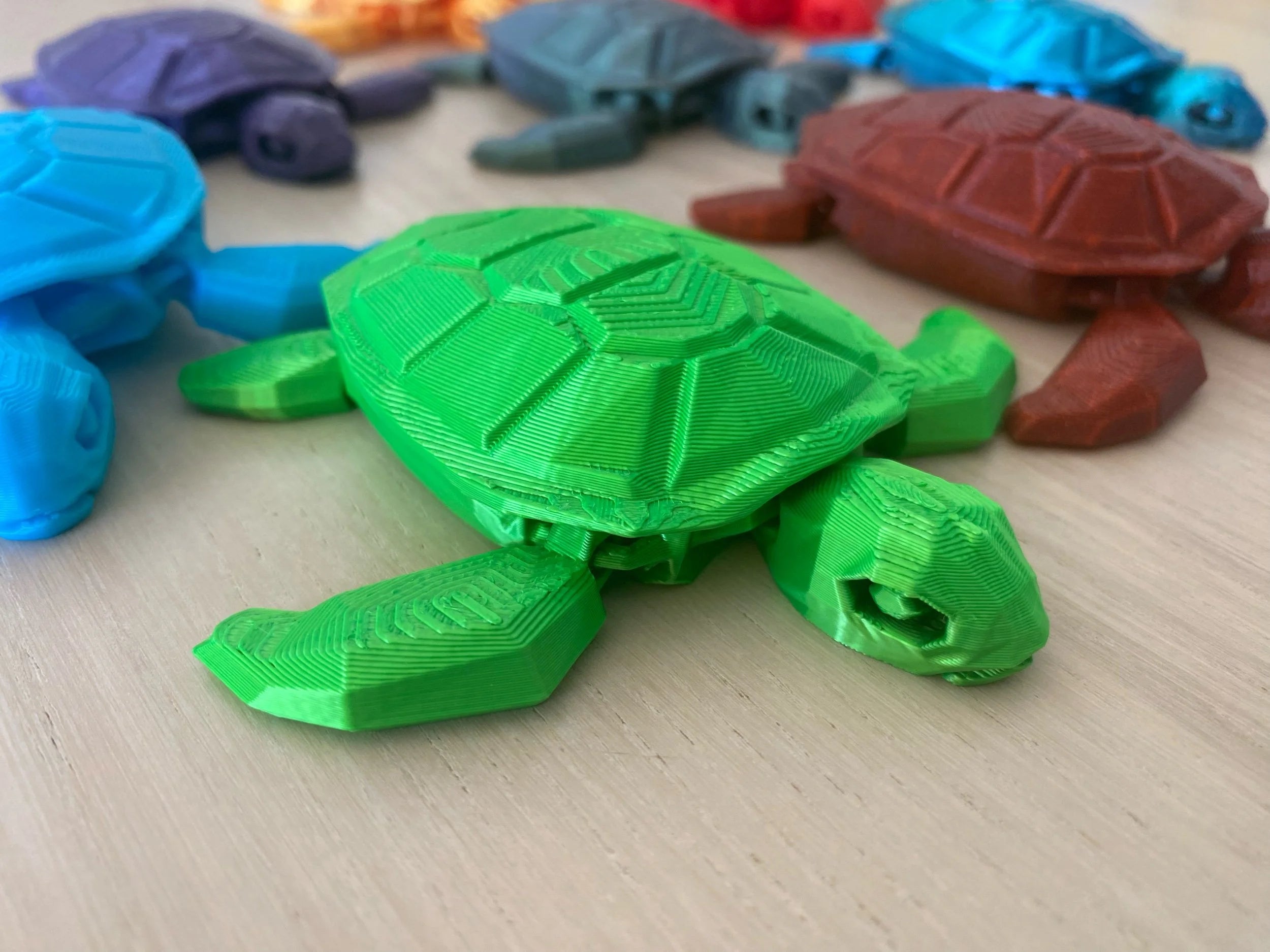 Turtle Customizer Turtle – Creative Monkey