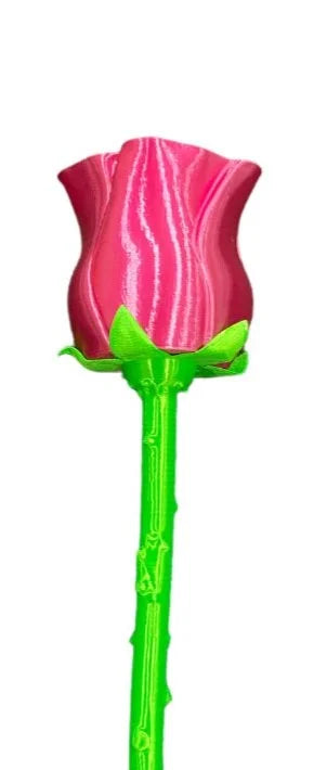 Roses and Vases